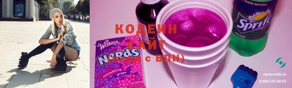 молекула духа Покров