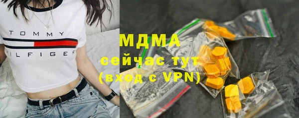 молекула духа Покров