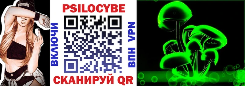 дарнет шоп  blacksprut ССЫЛКА  Псилоцибиновые грибы мухоморы  Суздаль 